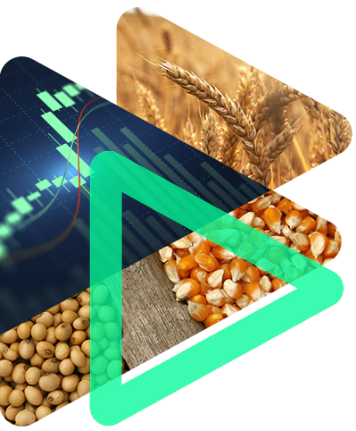 Commodities