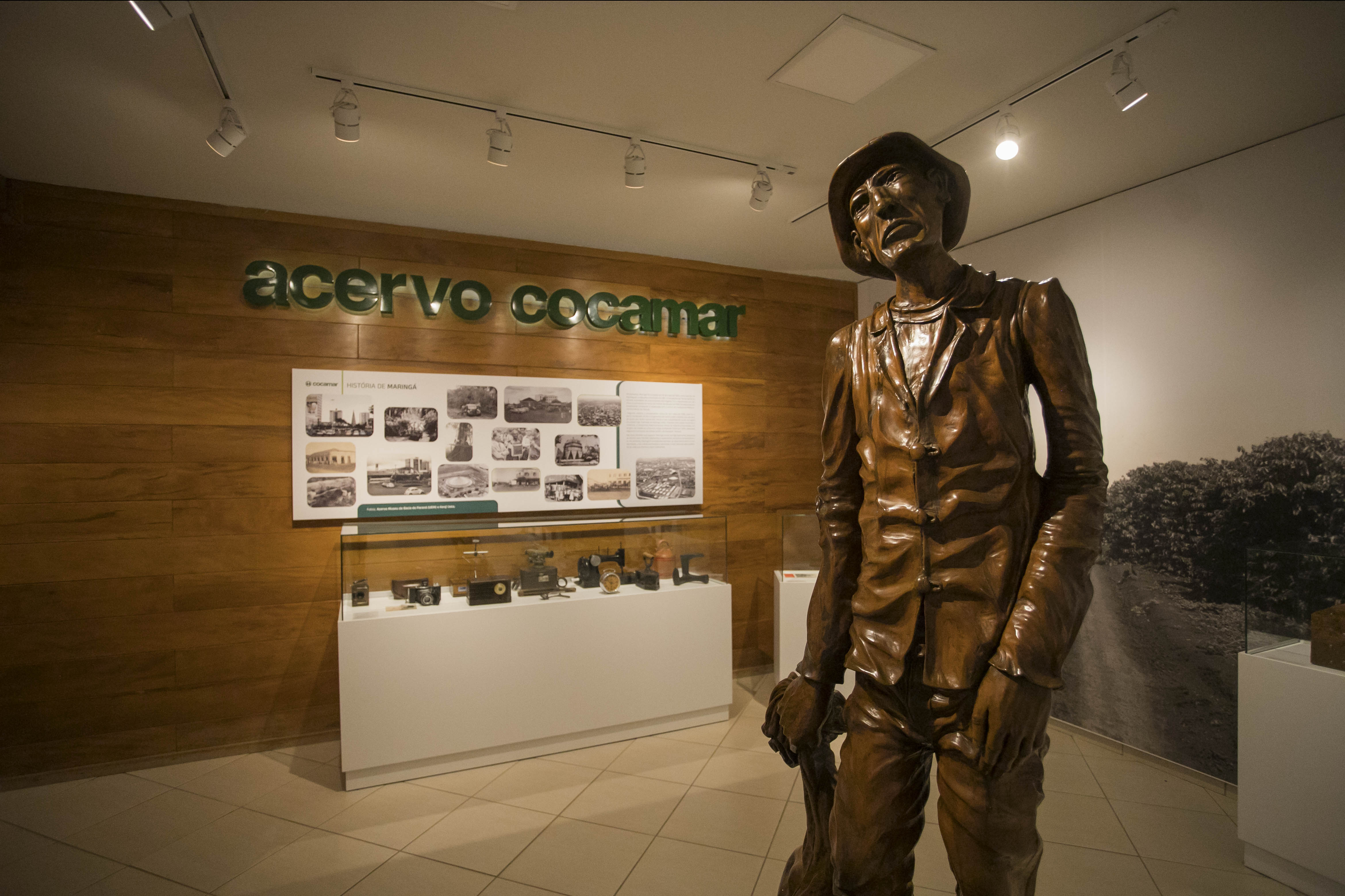Acervo 01