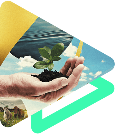 Agroverde