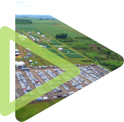 Safratec 01